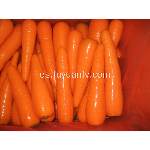 Deliciosas zanahorias frescas 150-200G